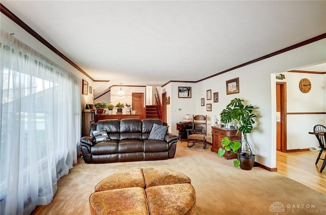 living room with crown molding and light hardwood / wood-style flooring