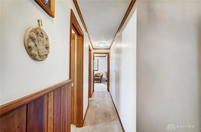 hallway featuring wood walls, ornamental molding, and light carpet