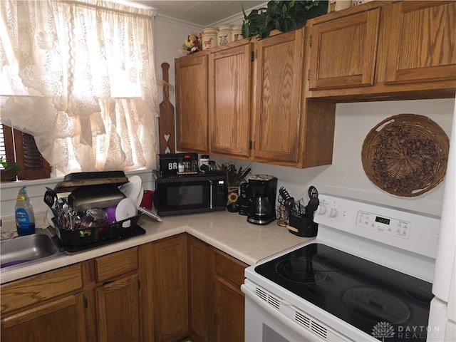 kitchen with electric range, crown molding, and sink