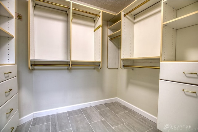 spacious closet with hardwood / wood-style floors