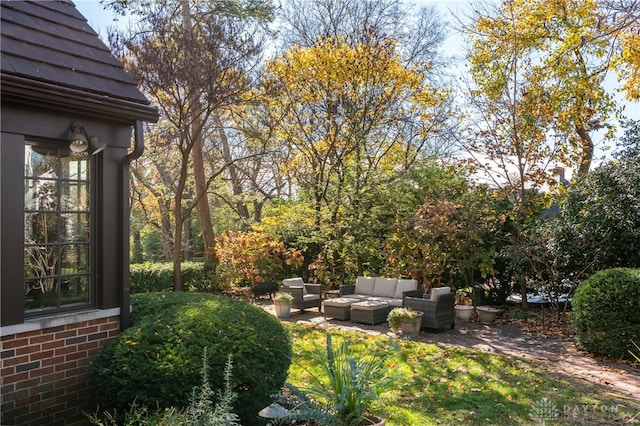 view of yard with a patio area and an outdoor living space