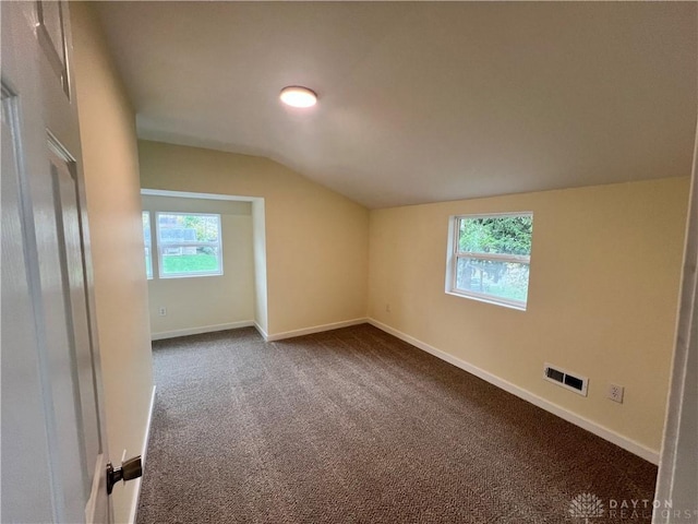 additional living space featuring carpet flooring, plenty of natural light, and lofted ceiling