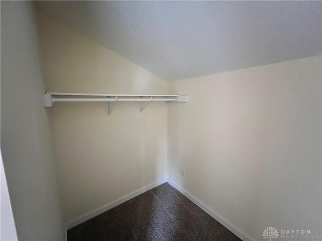 walk in closet featuring carpet and vaulted ceiling