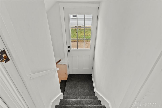 doorway to outside featuring carpet flooring