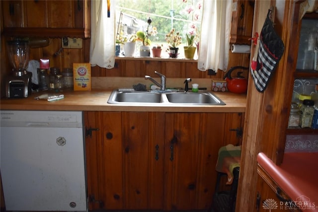 kitchen featuring dishwasher and sink