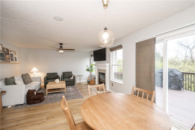 dining room with hardwood / wood-style flooring, ceiling fan, and a textured ceiling