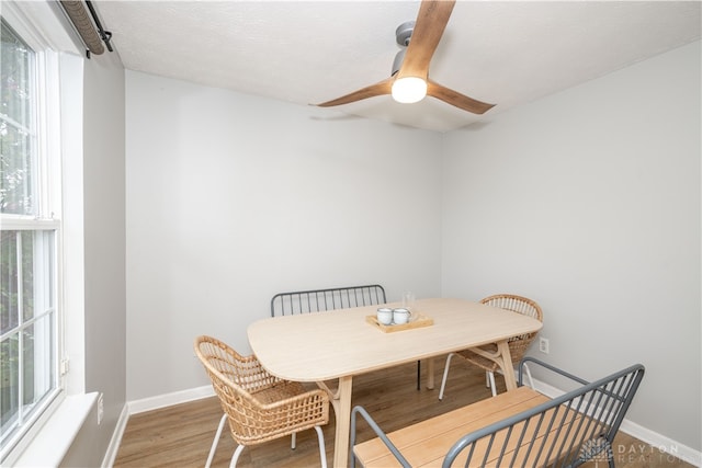 dining area with wood-type flooring, a textured ceiling, plenty of natural light, and ceiling fan