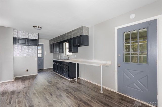 kitchen with dark hardwood / wood-style flooring and sink