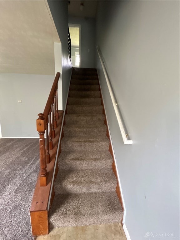 stairway with carpet flooring