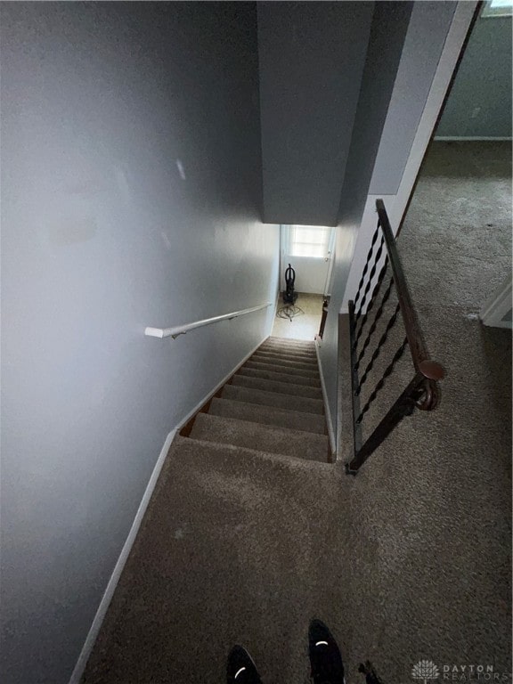 stairway featuring carpet