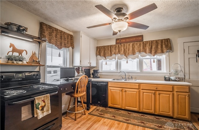 kitchen with sink, light hardwood / wood-style floors, plenty of natural light, and black appliances