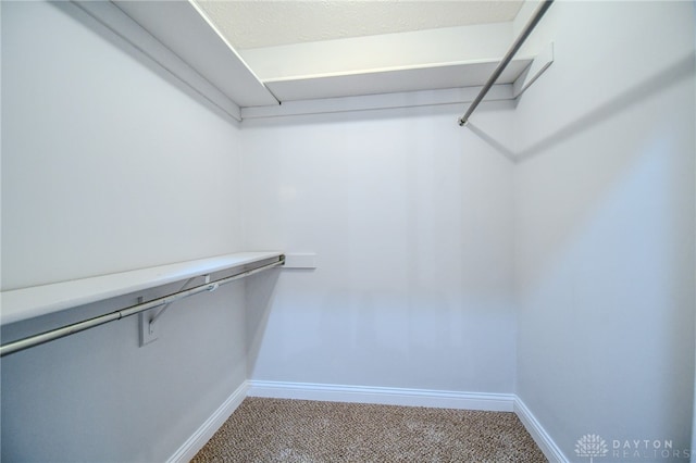 walk in closet with carpet