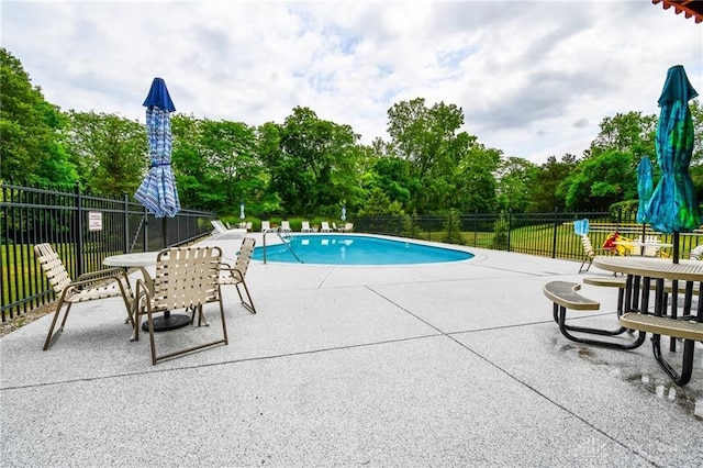 view of swimming pool with a patio