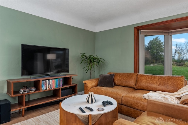 living room with hardwood / wood-style floors and a textured ceiling