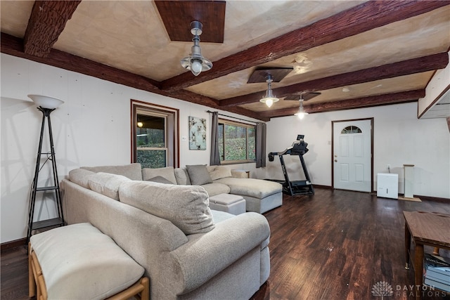 living room featuring beam ceiling and dark hardwood / wood-style flooring