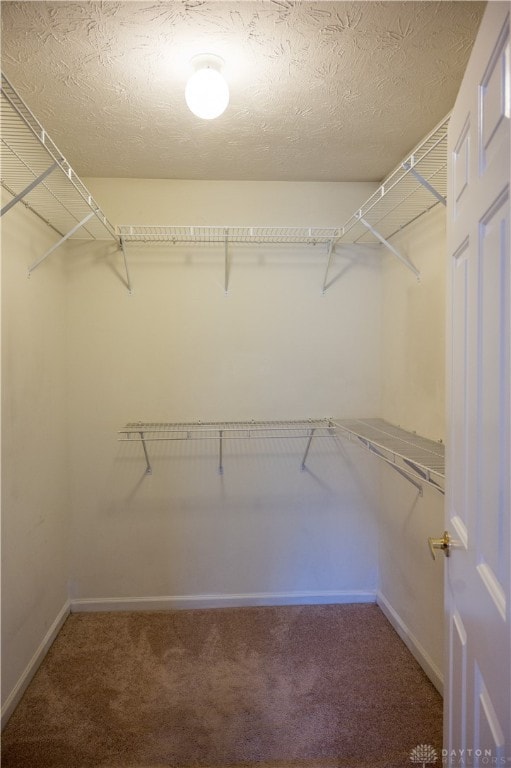 spacious closet with carpet floors