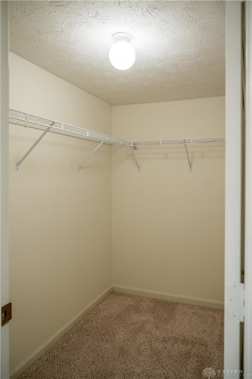 spacious closet with carpet floors