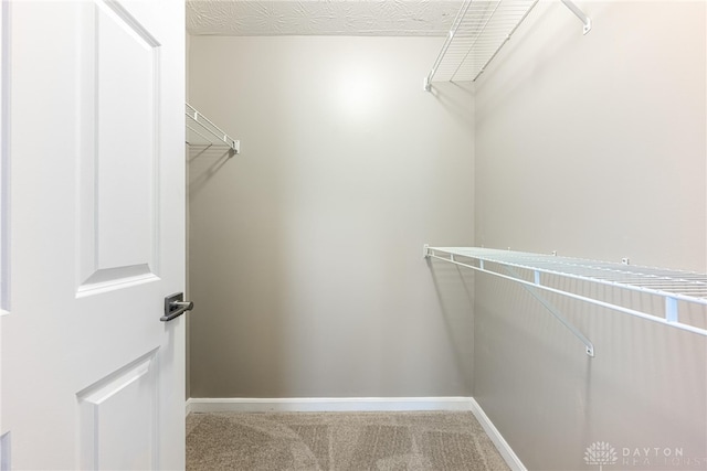 spacious closet with carpet floors