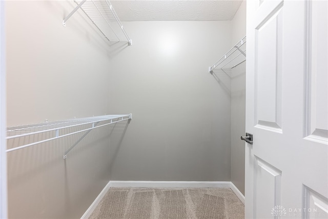 spacious closet with carpet floors