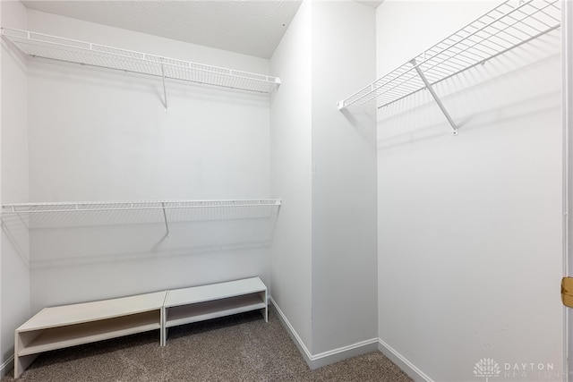 spacious closet featuring carpet