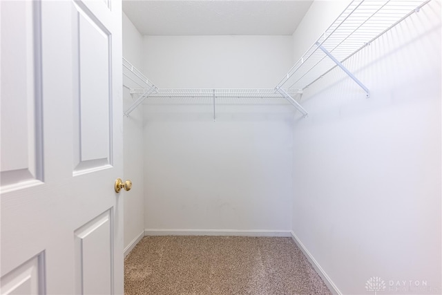 spacious closet with carpet