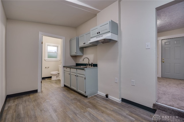 kitchen featuring gray cabinetry, light wood-type flooring, lofted ceiling, and sink