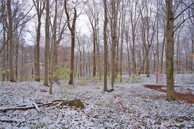 view of snowy view