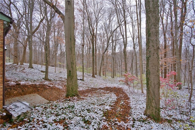 view of snow covered land