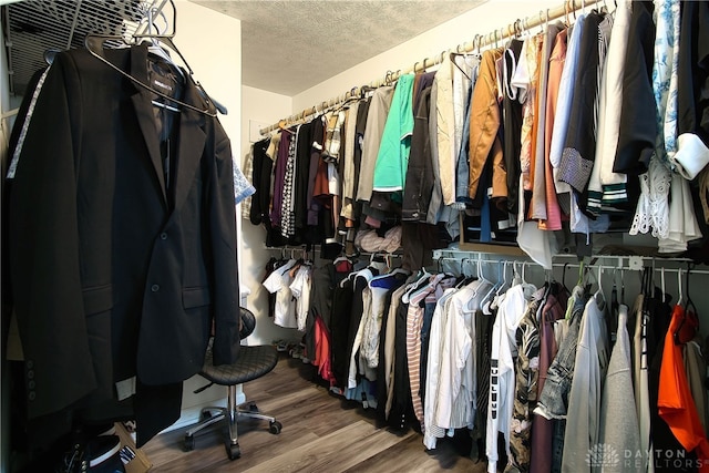 spacious closet with wood-type flooring