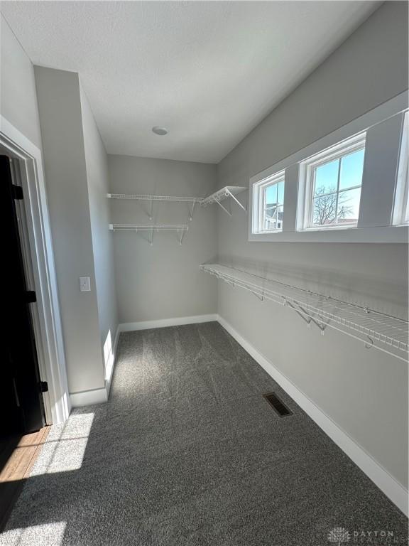 spacious closet with carpet floors and visible vents