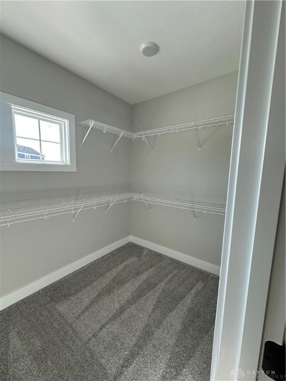 spacious closet with carpet flooring