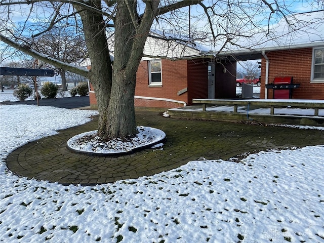 view of yard covered in snow