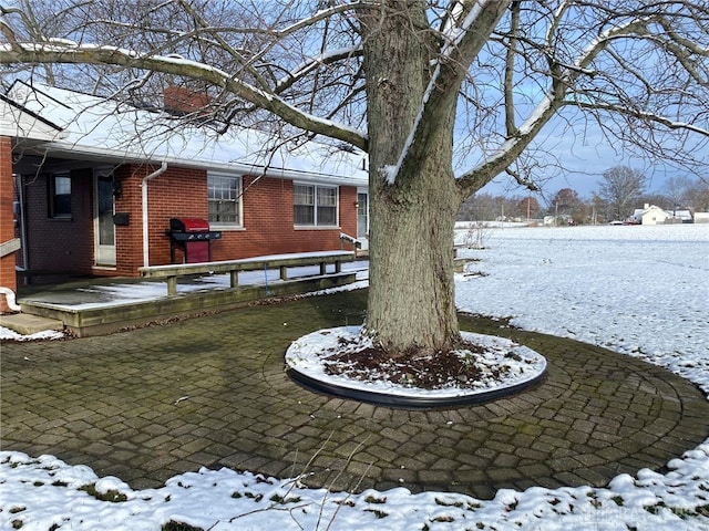 view of snowy yard