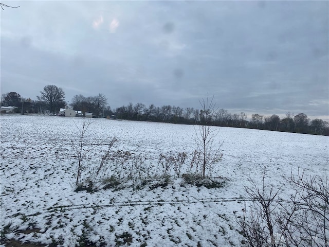 view of snowy yard