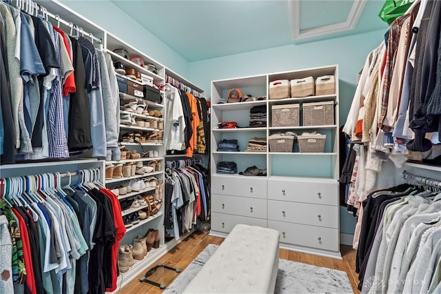 walk in closet featuring light hardwood / wood-style floors