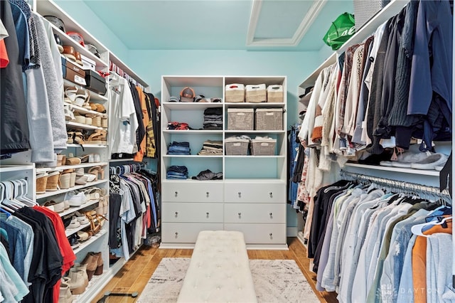 spacious closet featuring light wood-type flooring