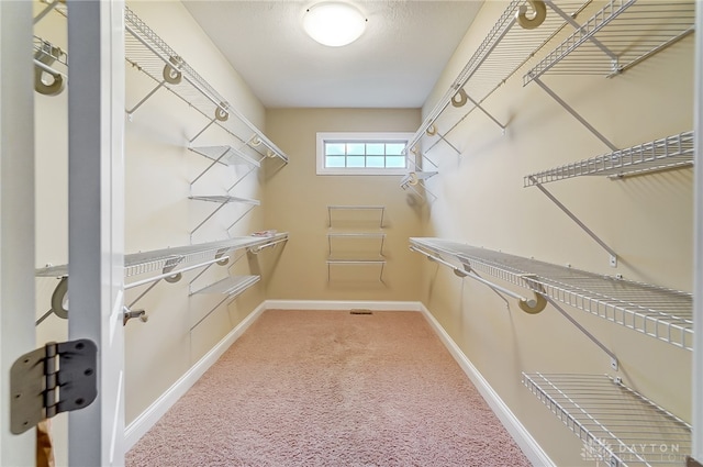 walk in closet featuring carpet