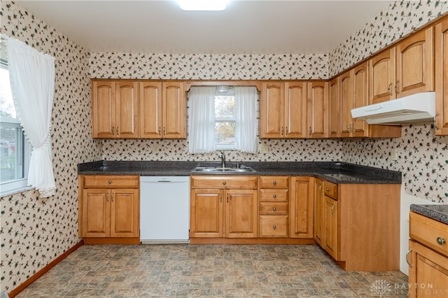 kitchen with dishwasher and sink