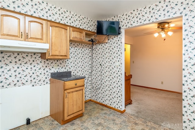 kitchen featuring carpet flooring and ceiling fan