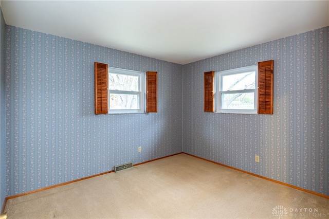 spare room featuring carpet and plenty of natural light