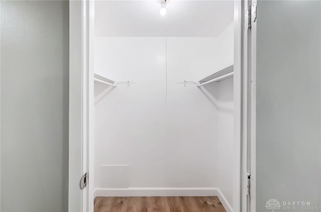 spacious closet featuring light wood-type flooring