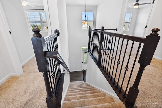 stairs with carpet flooring and ceiling fan