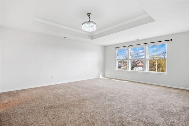 spare room with a raised ceiling and carpet flooring