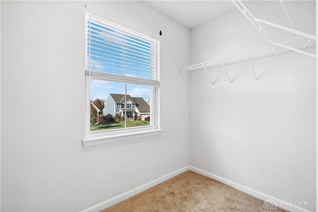 walk in closet with carpet