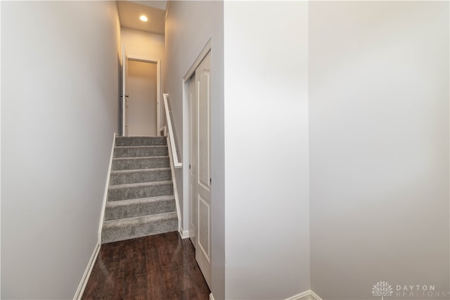 stairs with hardwood / wood-style floors