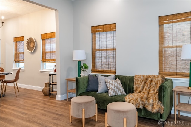 living area featuring hardwood / wood-style floors