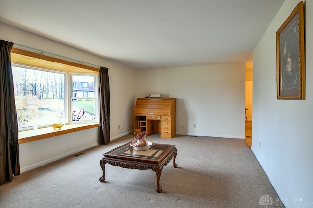 sitting room with carpet floors