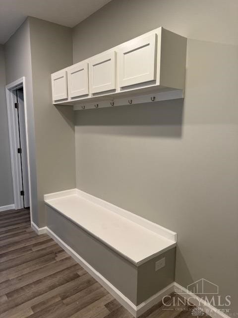 mudroom featuring dark wood-type flooring