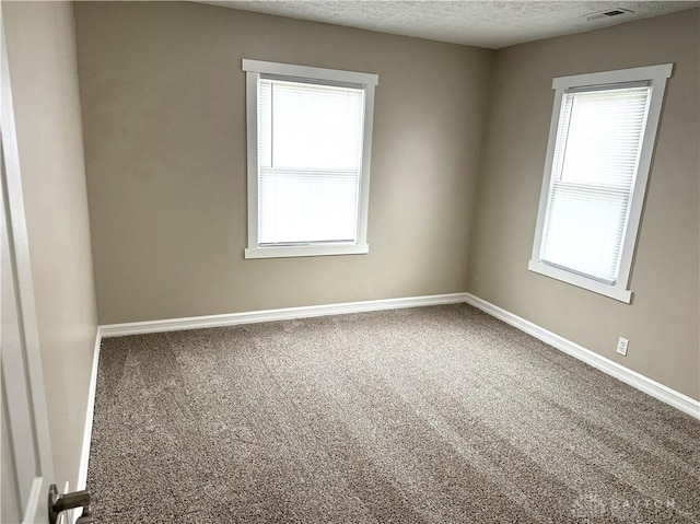 carpeted empty room featuring plenty of natural light and a textured ceiling