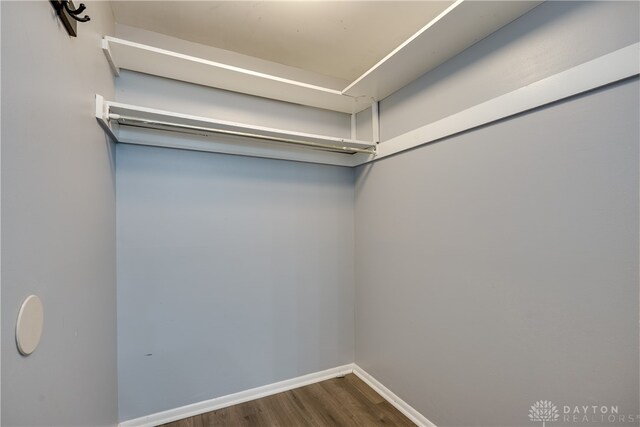 walk in closet featuring hardwood / wood-style floors